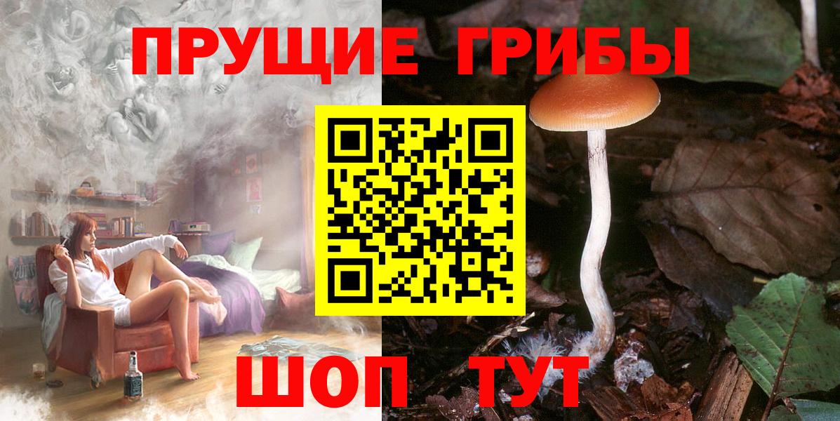 Галлюциногенные грибы мицелий  Вход с VPN  Королёв 