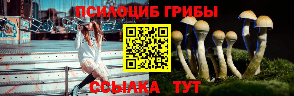 Псилоцибиновые грибы ЛСД Королёв